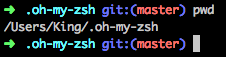 Zsh-1