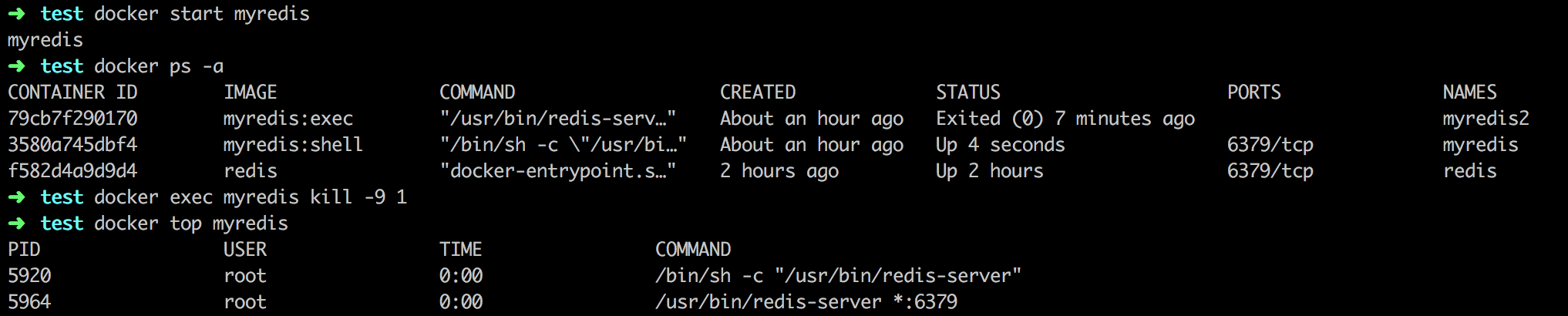 docker_process_redis04